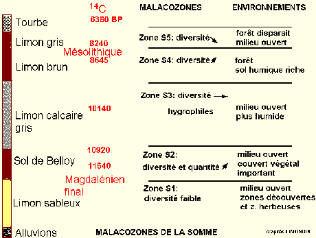 malachozone