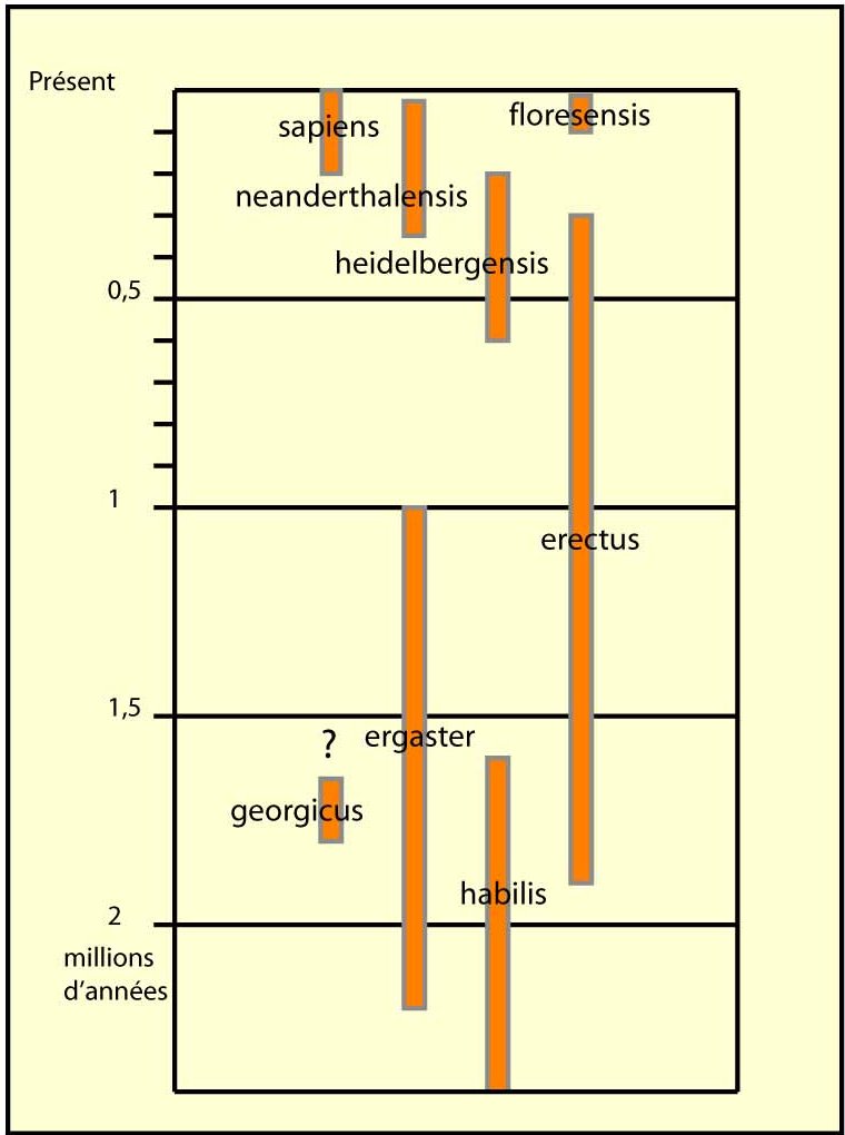 tableau chronologique