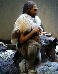 Taille Néandertal