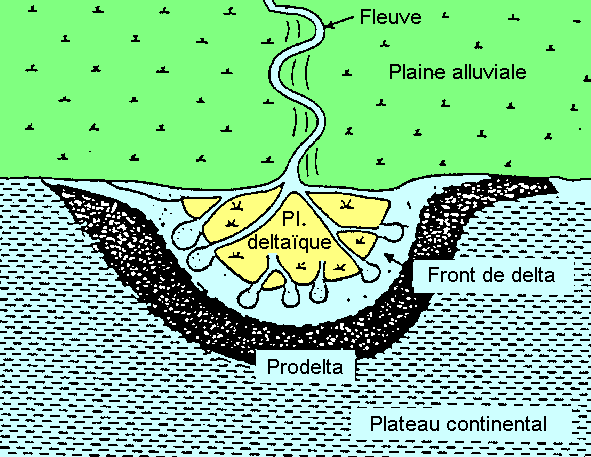 Problèmes de sédimentation dans les deltas