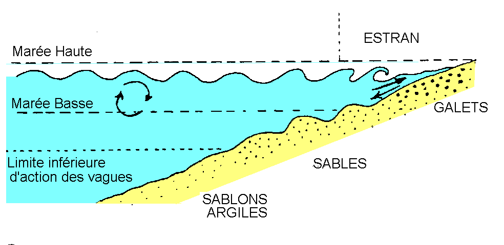 Bassin de sédimentation : définition et explications