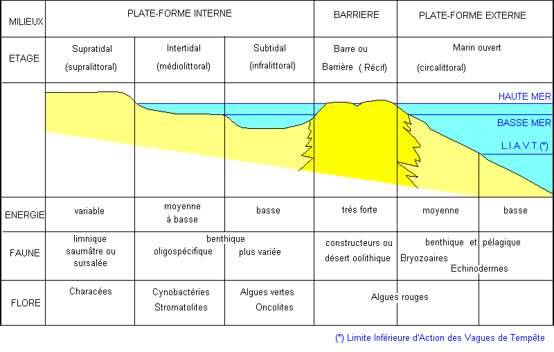 Calcaire cristallin : définition et explications