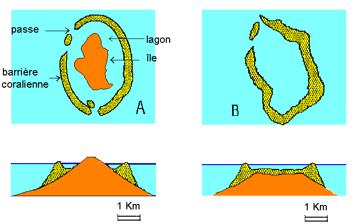 Calcaire  Types, propriétés, composition, formation, utilisations