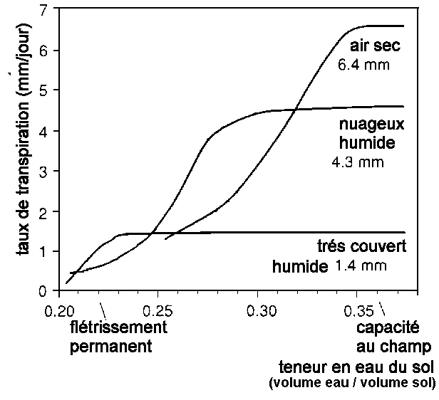 Pourquoi un taux d'humidité idéal dans l'air est essentiel