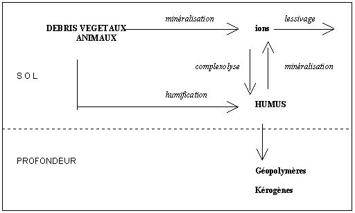 Naissance et évolution des sols