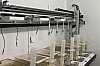 IMG_2543