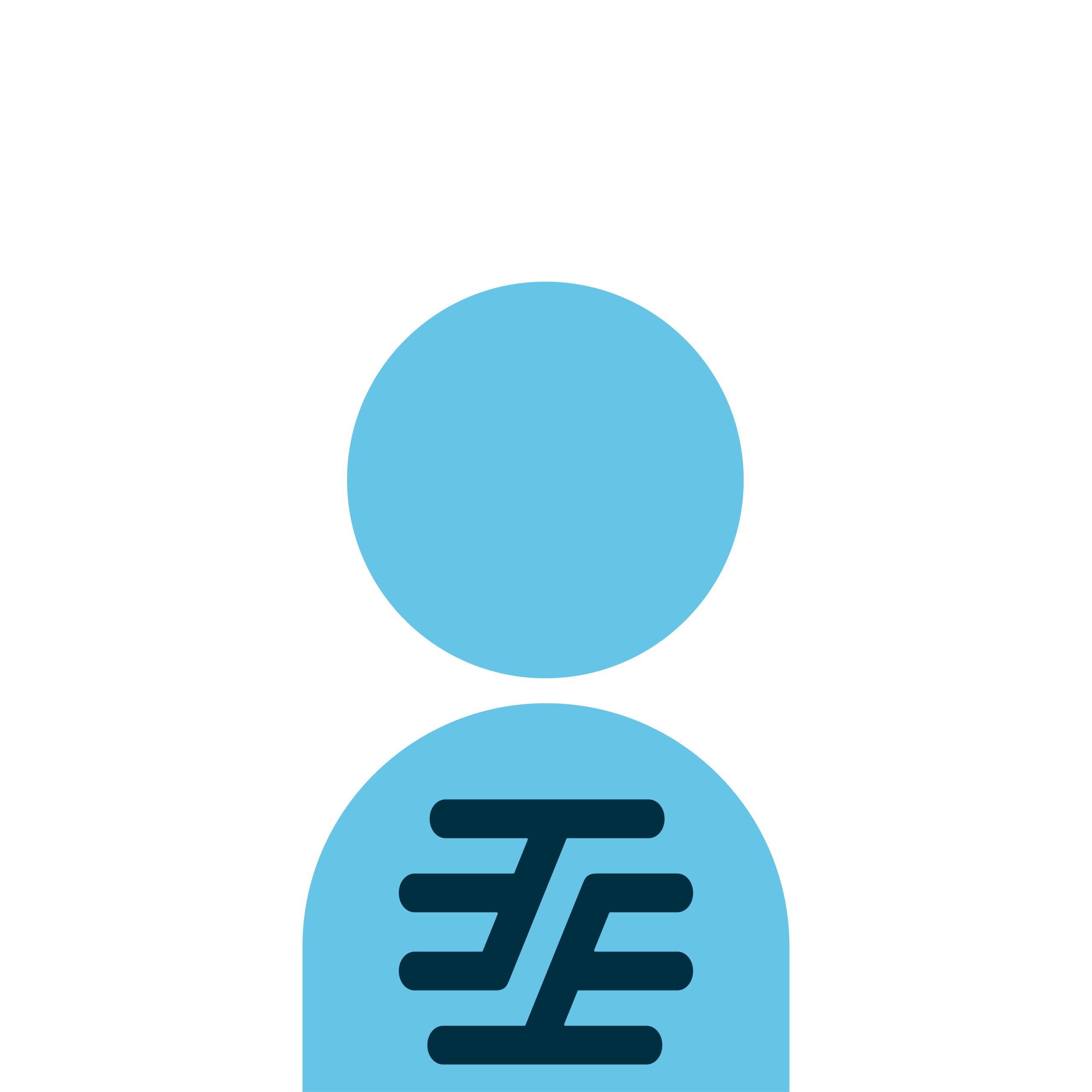 Image simplifiée d'un Homme