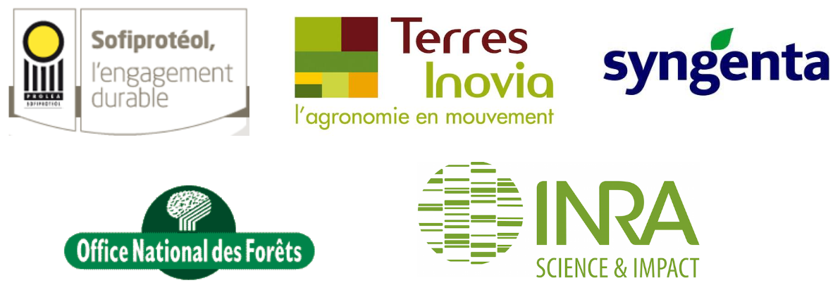 LOGO2