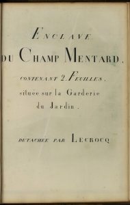 Plan de l&rsquo;enclave du champ Mentard
