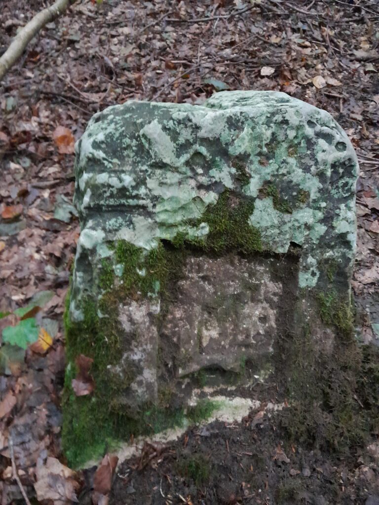 Borne isolée en forêt de Retz (Aisne)