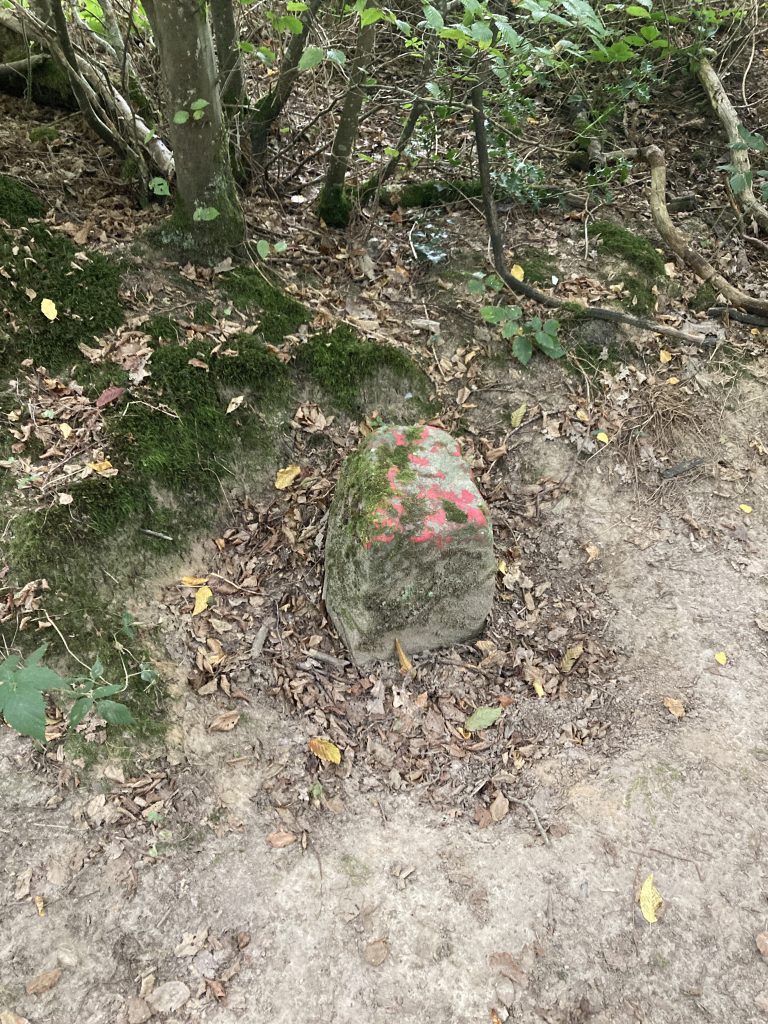 Borne forestière