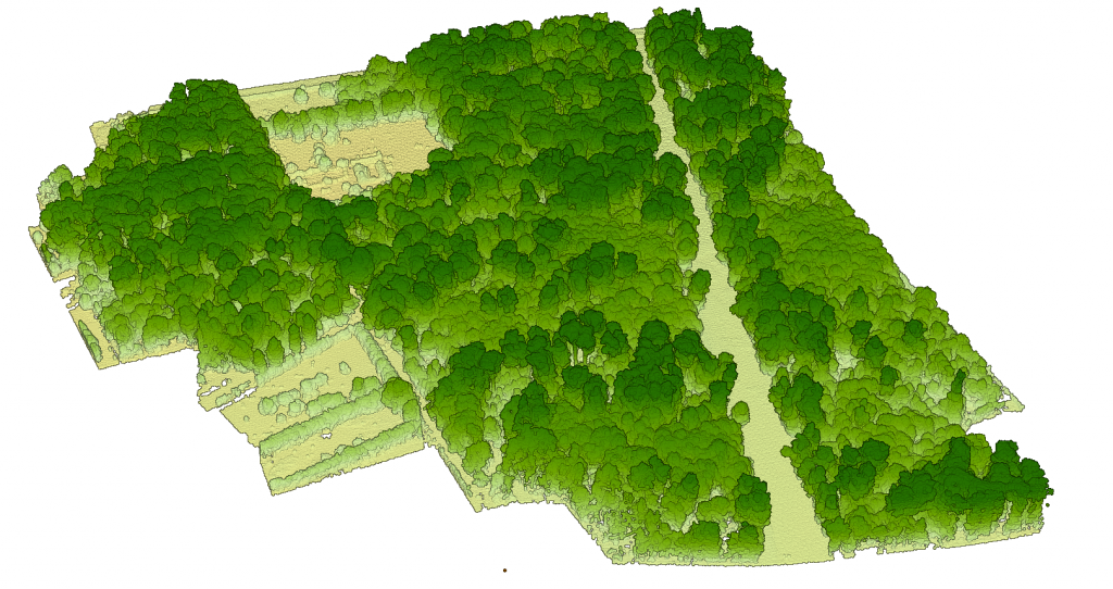Extrait du nuage de point acquis par drone au-dessus du petit parc du château de Villers-Cotterêts