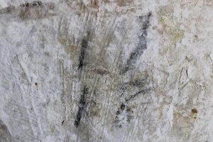 Graffiti « 11/18 » – n°208
