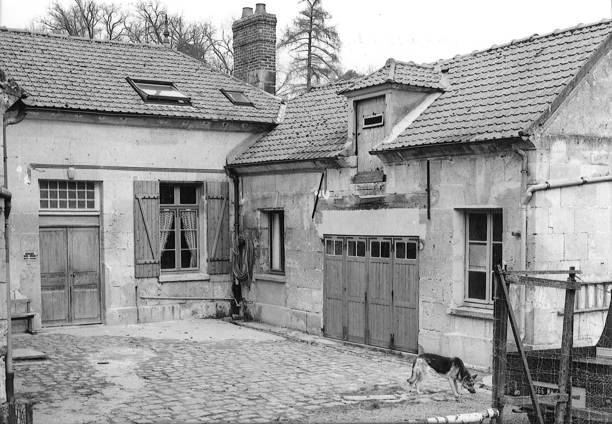 Main Image