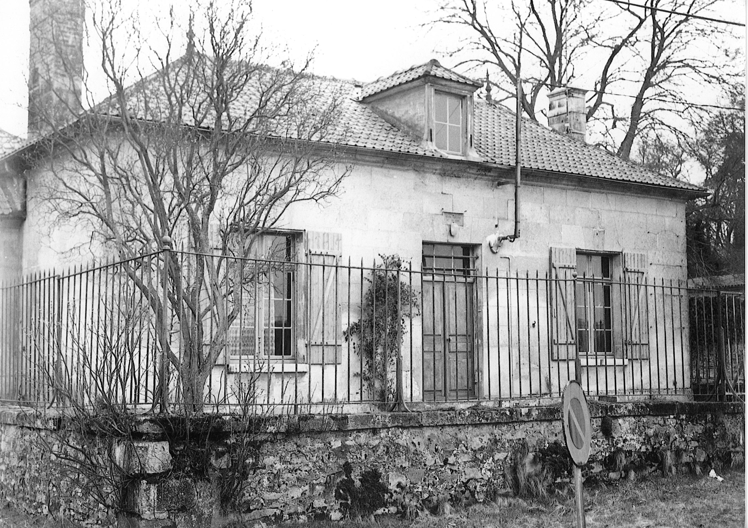 Main Image