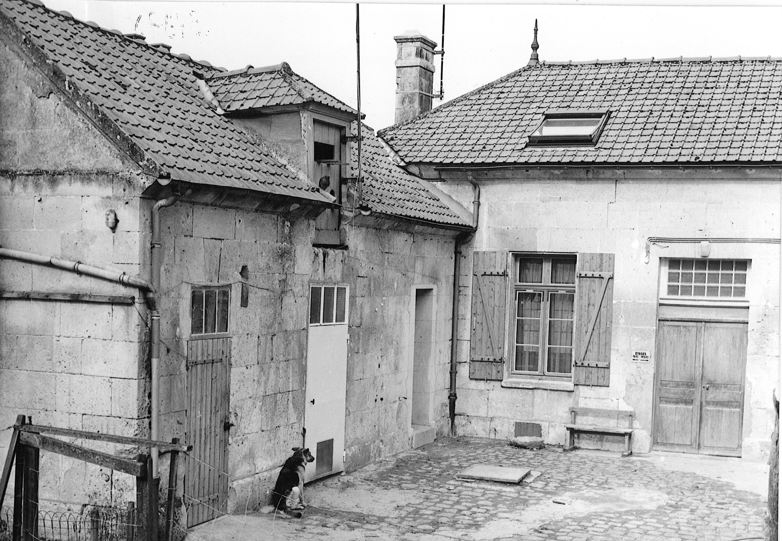 Main Image