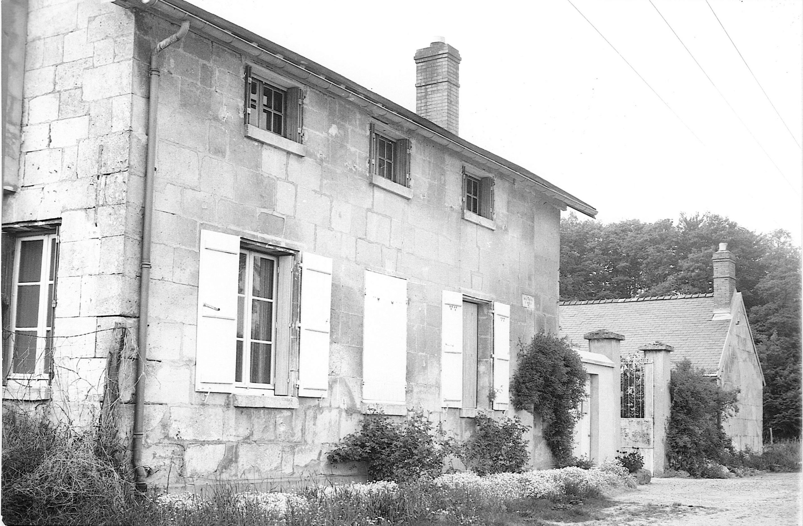 Main Image