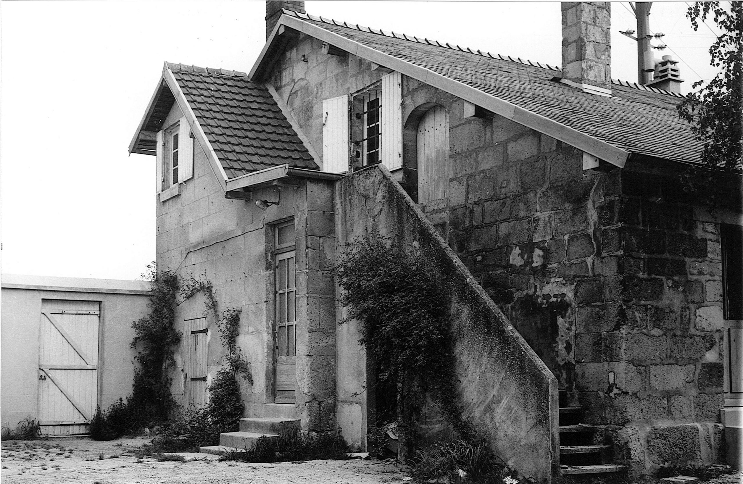 Main Image