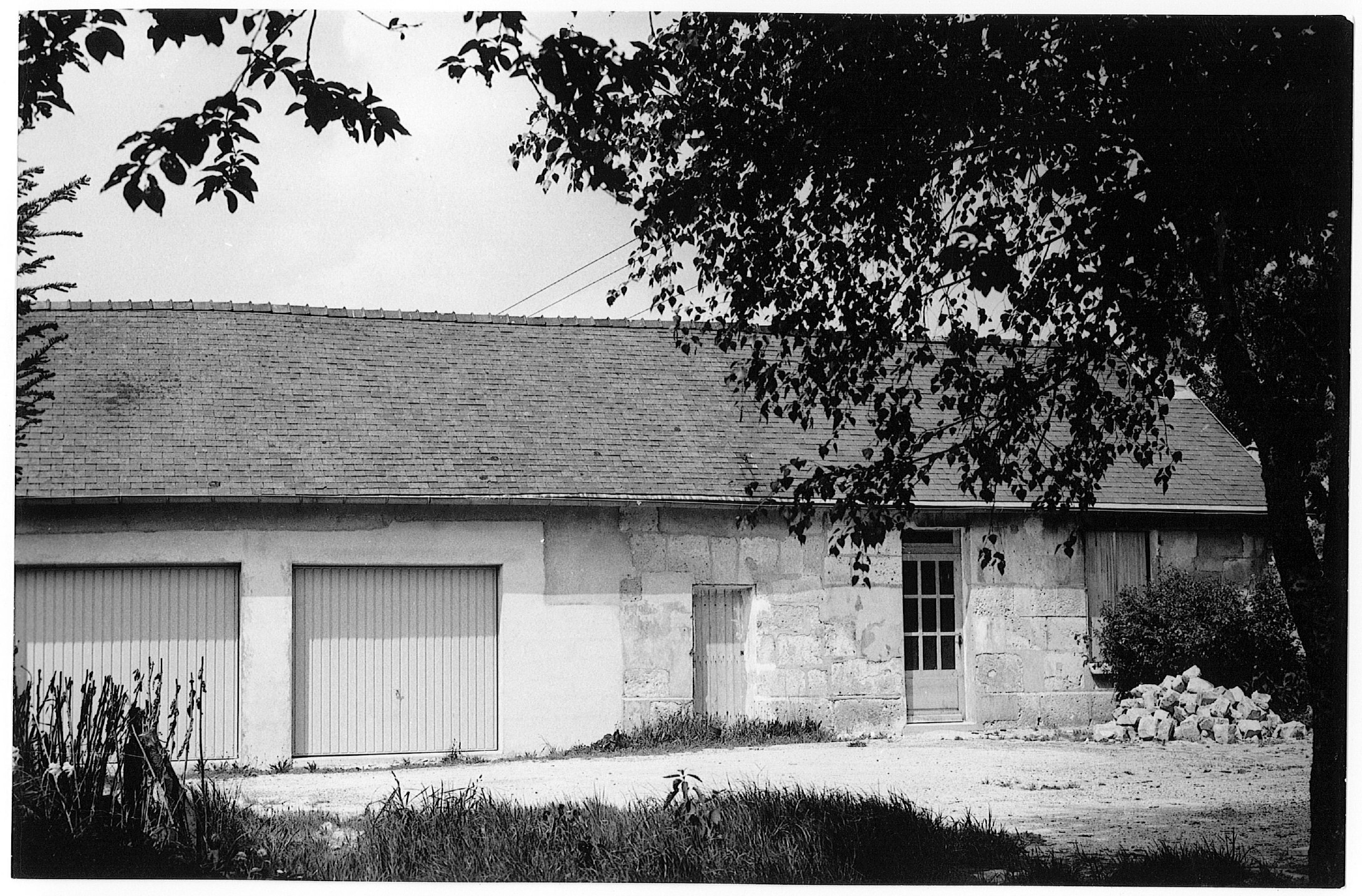 Main Image