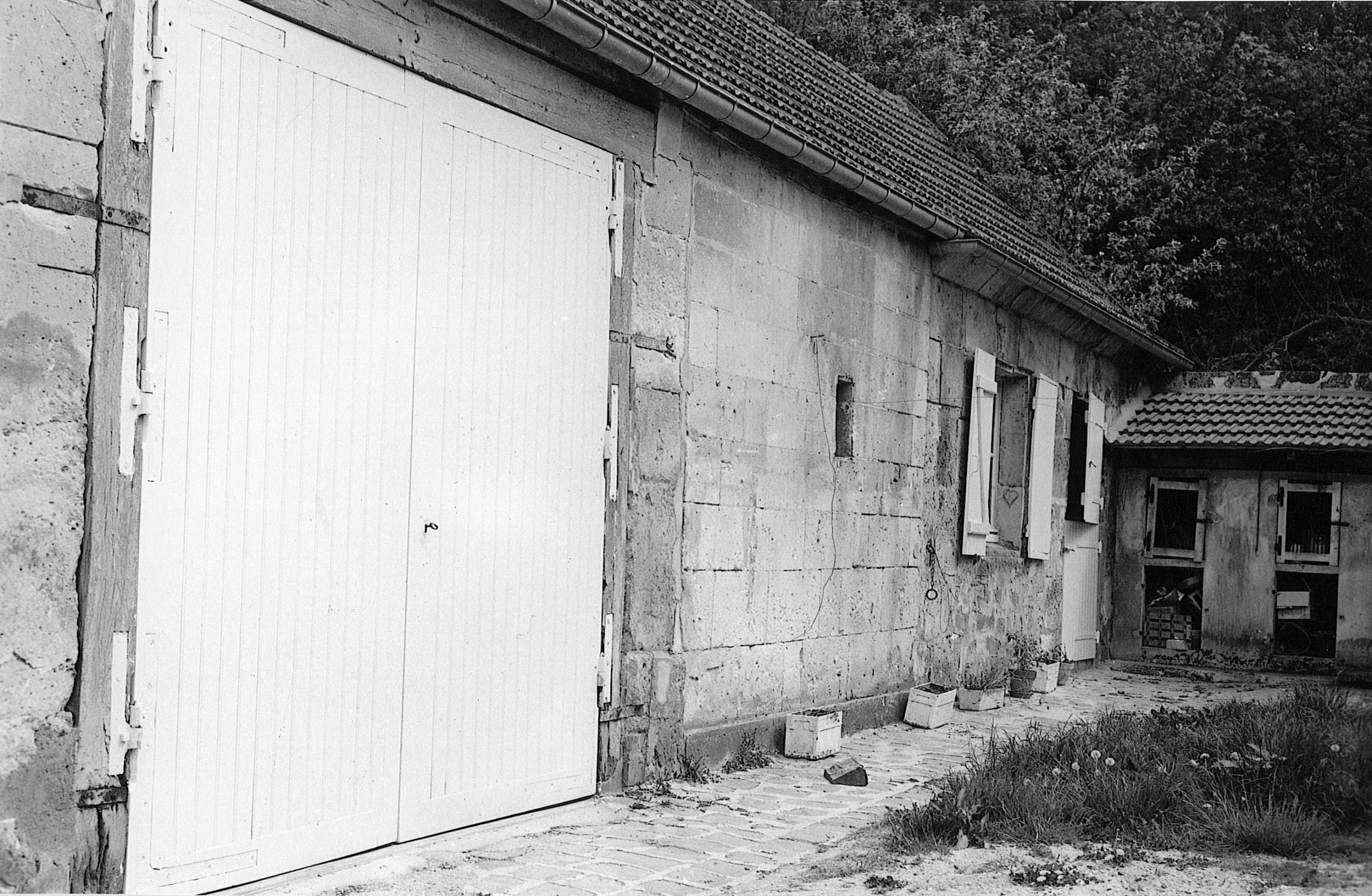 Main Image