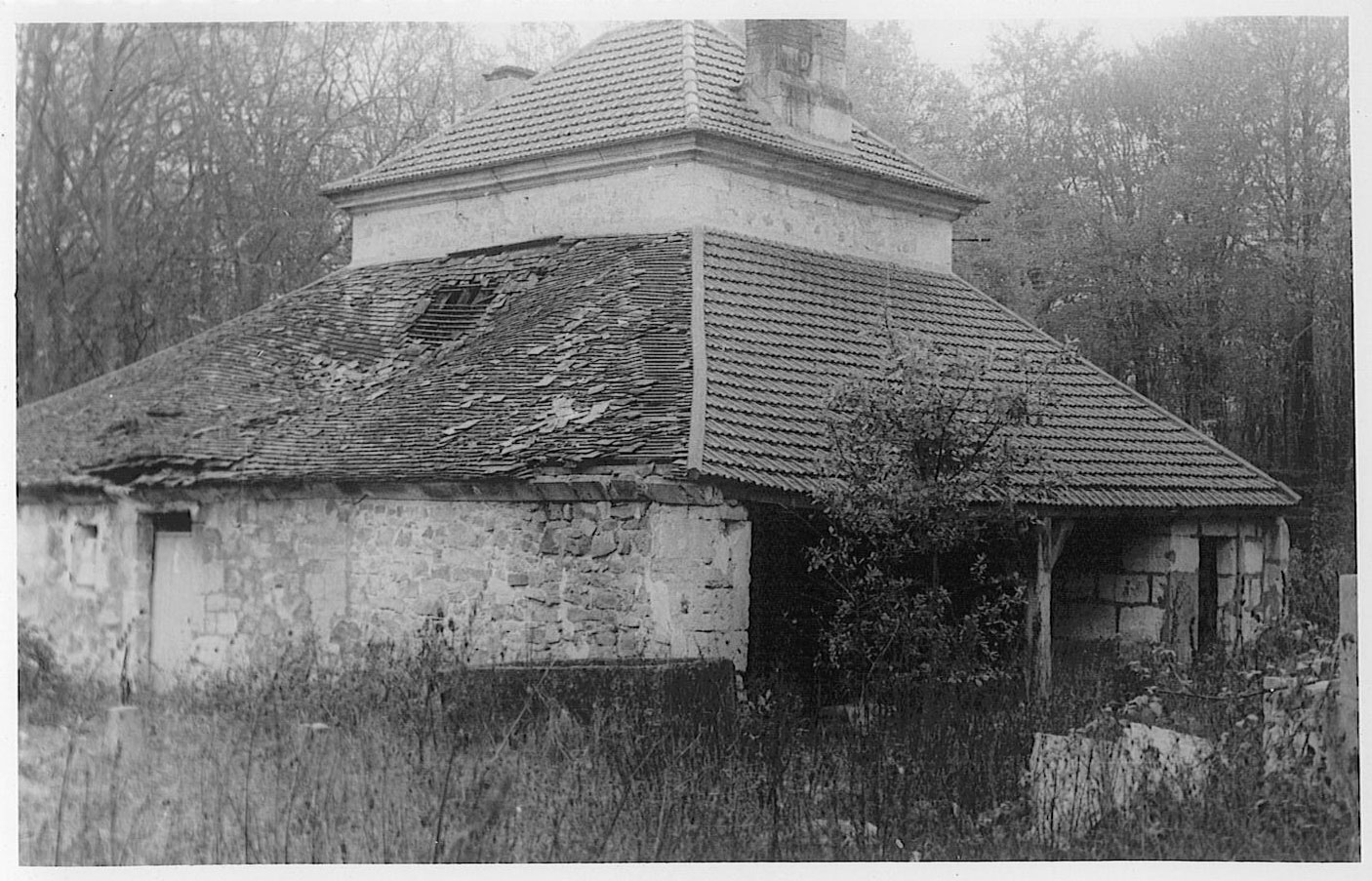 Main Image
