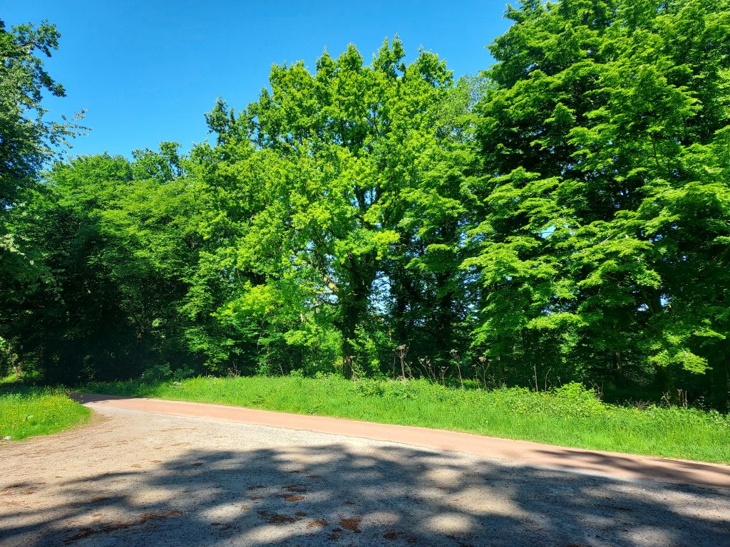 Emplacement de l'ancienne maison forestière du Rond de Châtillon