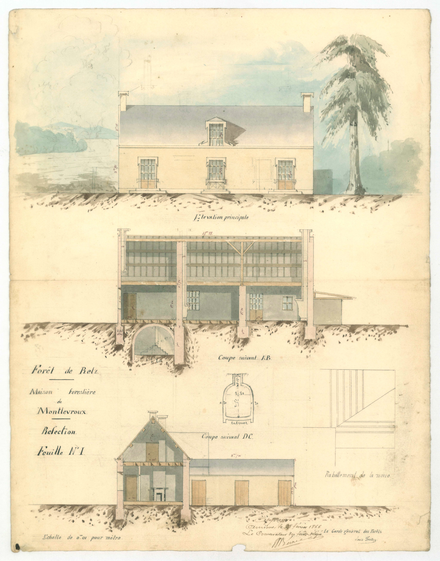 Main Image
