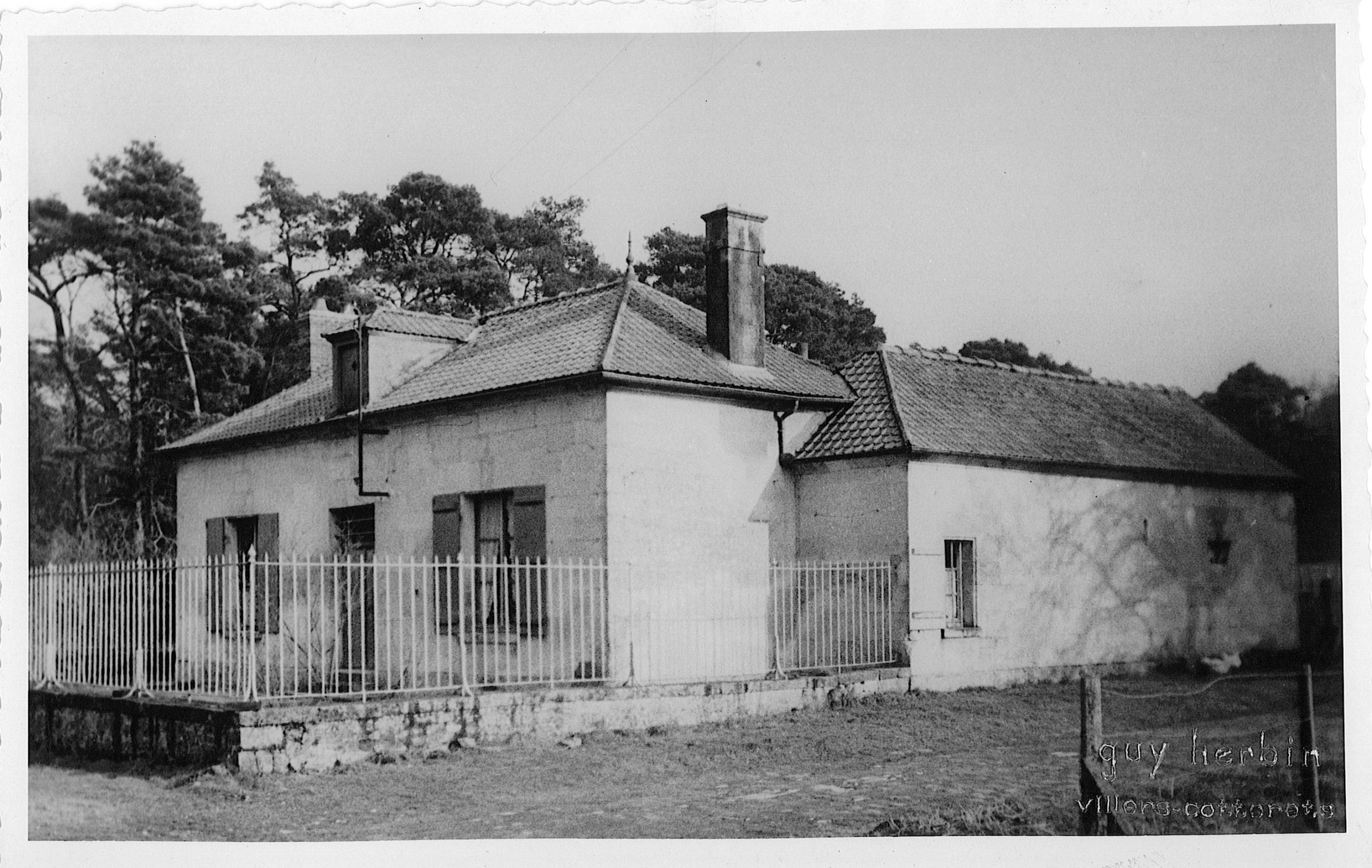 Main Image