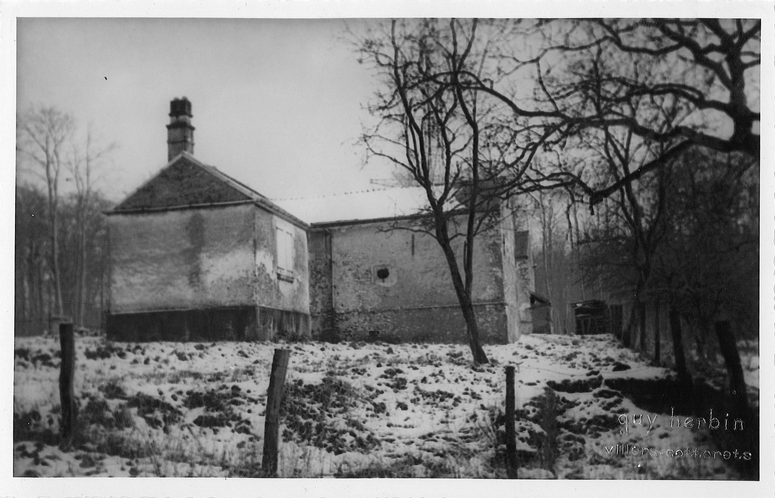 Main Image