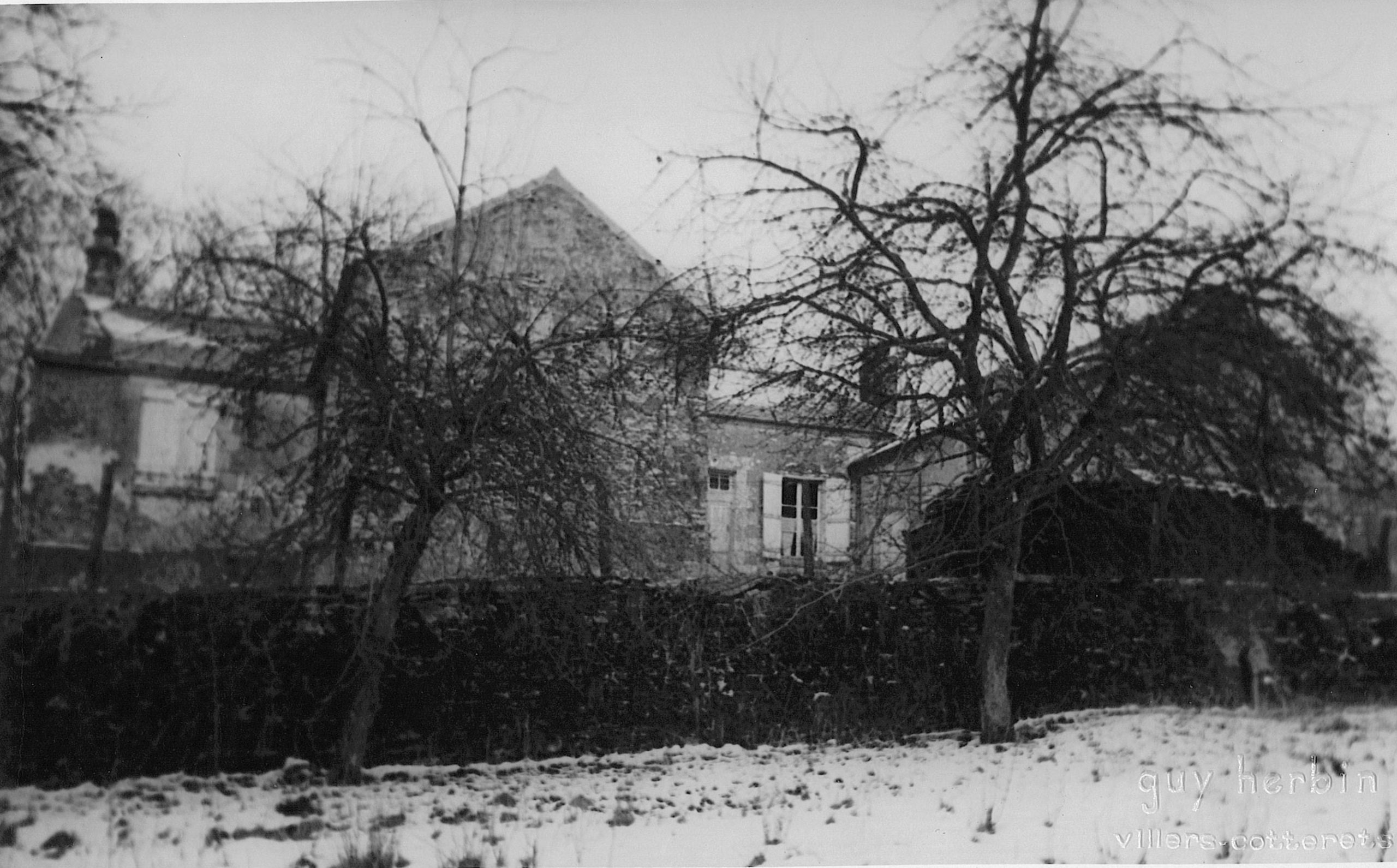 Main Image