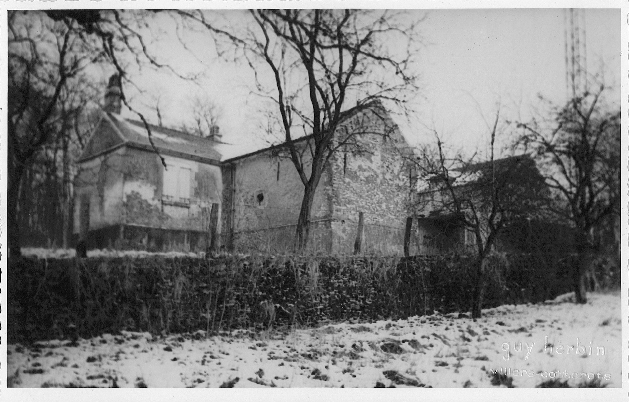 Main Image