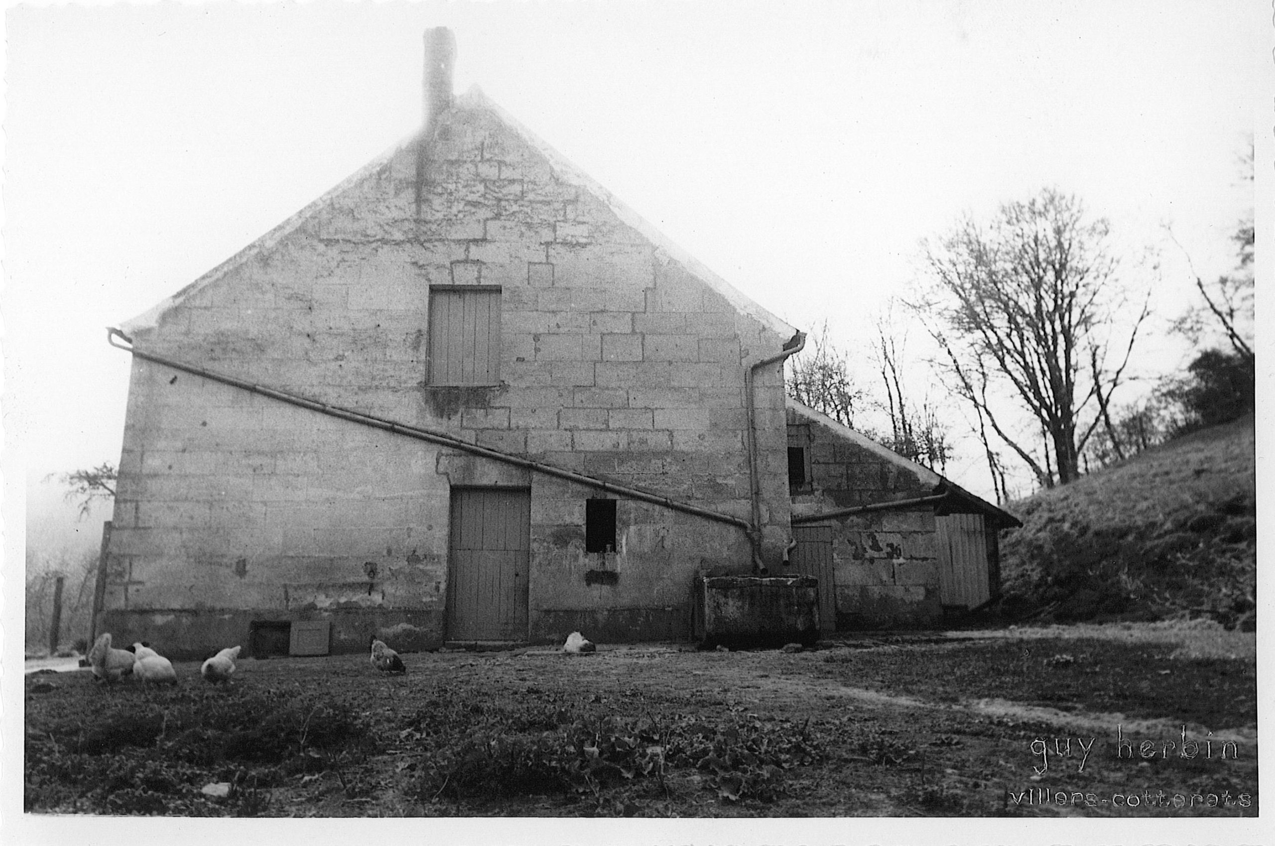 Main Image