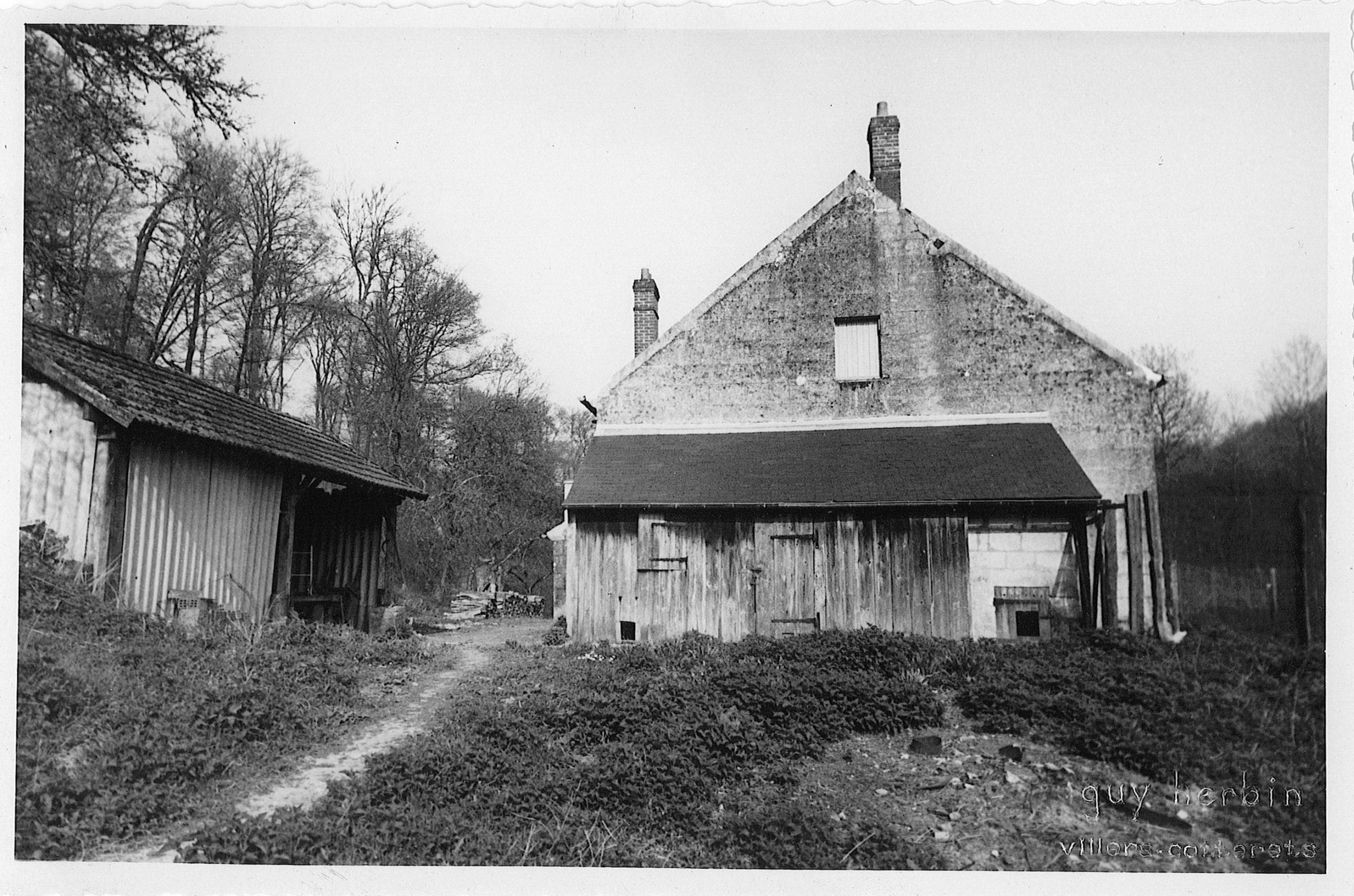 Main Image