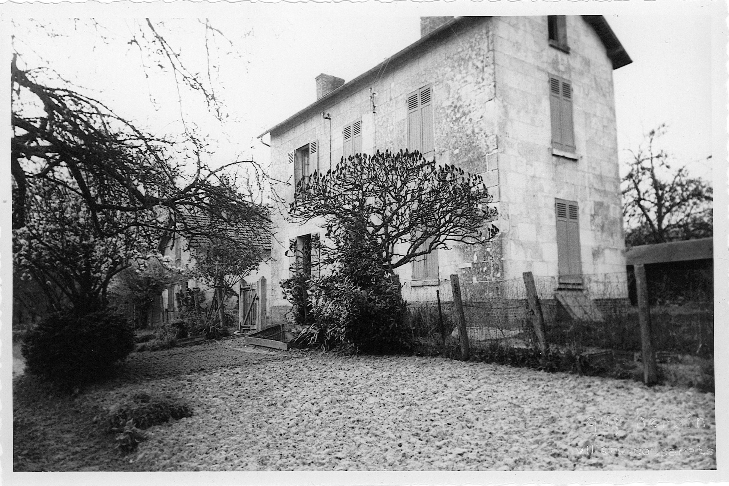 Main Image