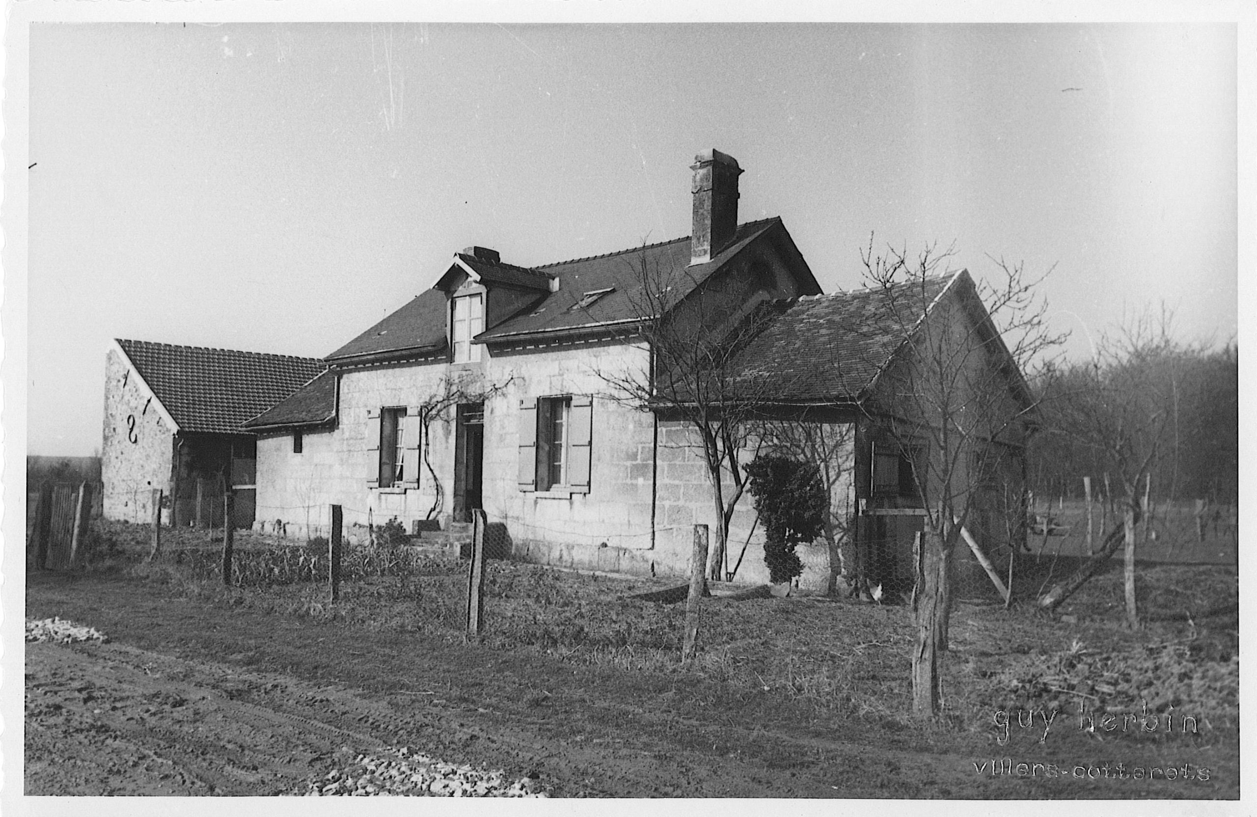 Main Image
