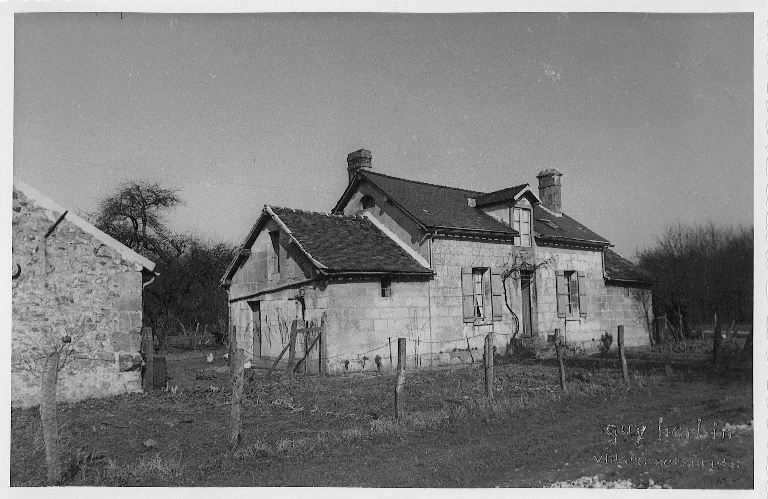 Main Image