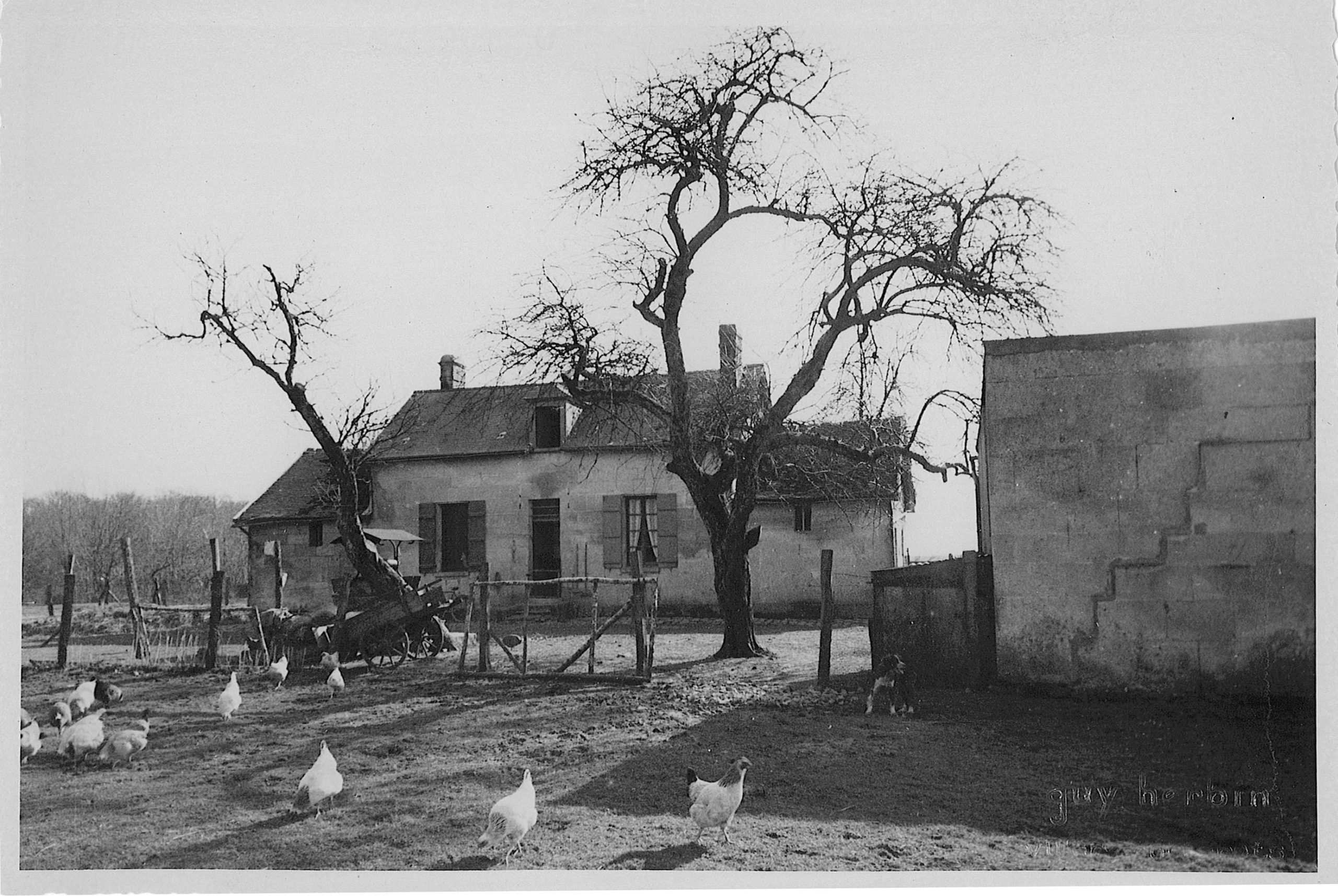 Main Image