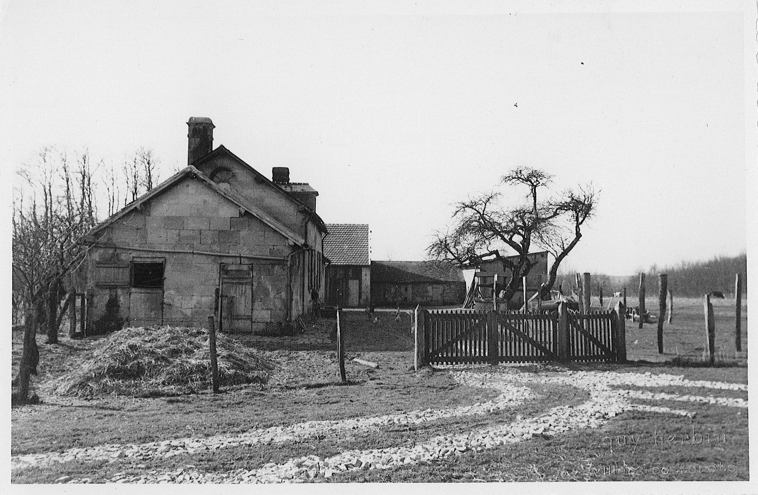 Main Image
