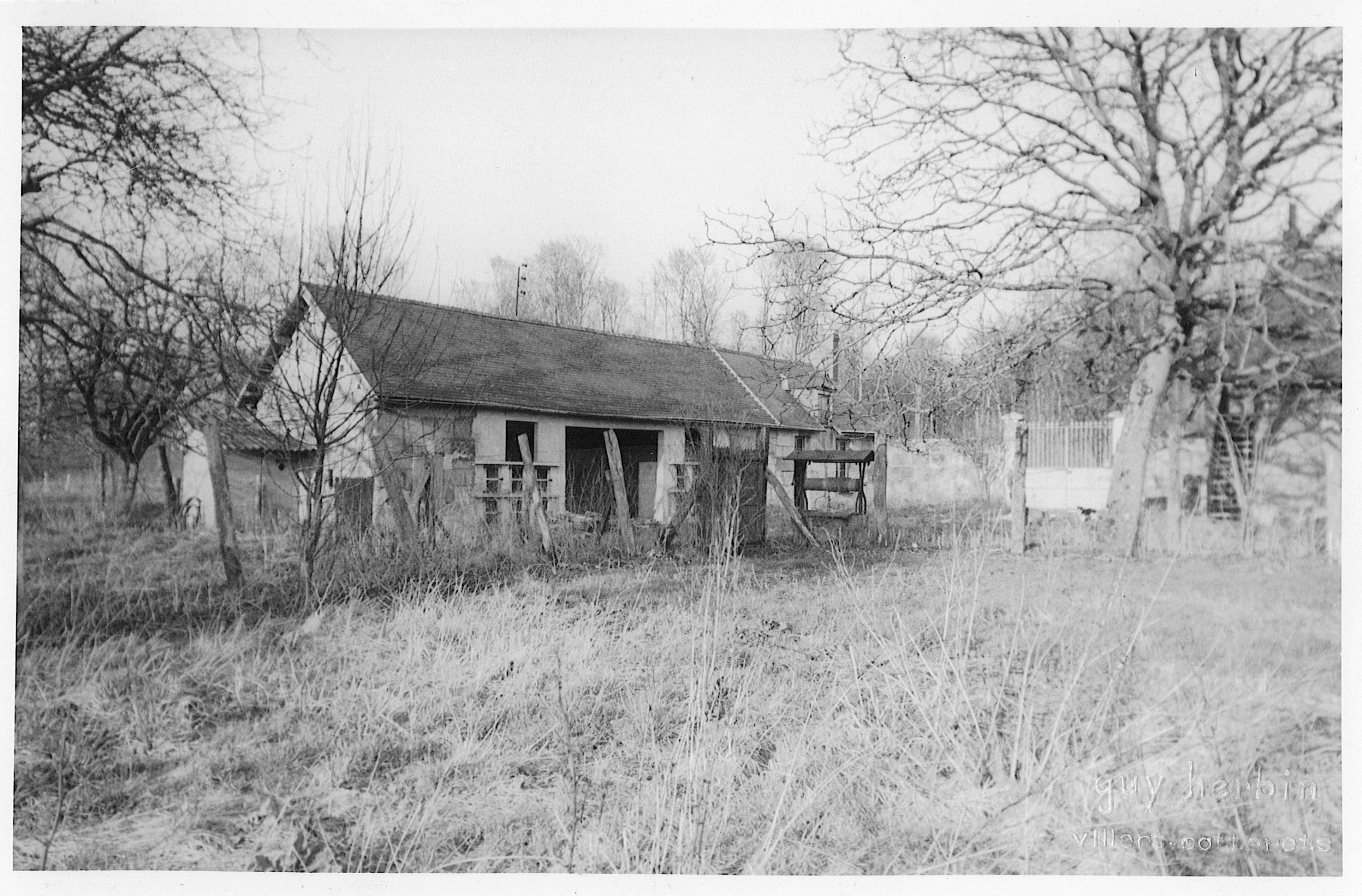 Main Image