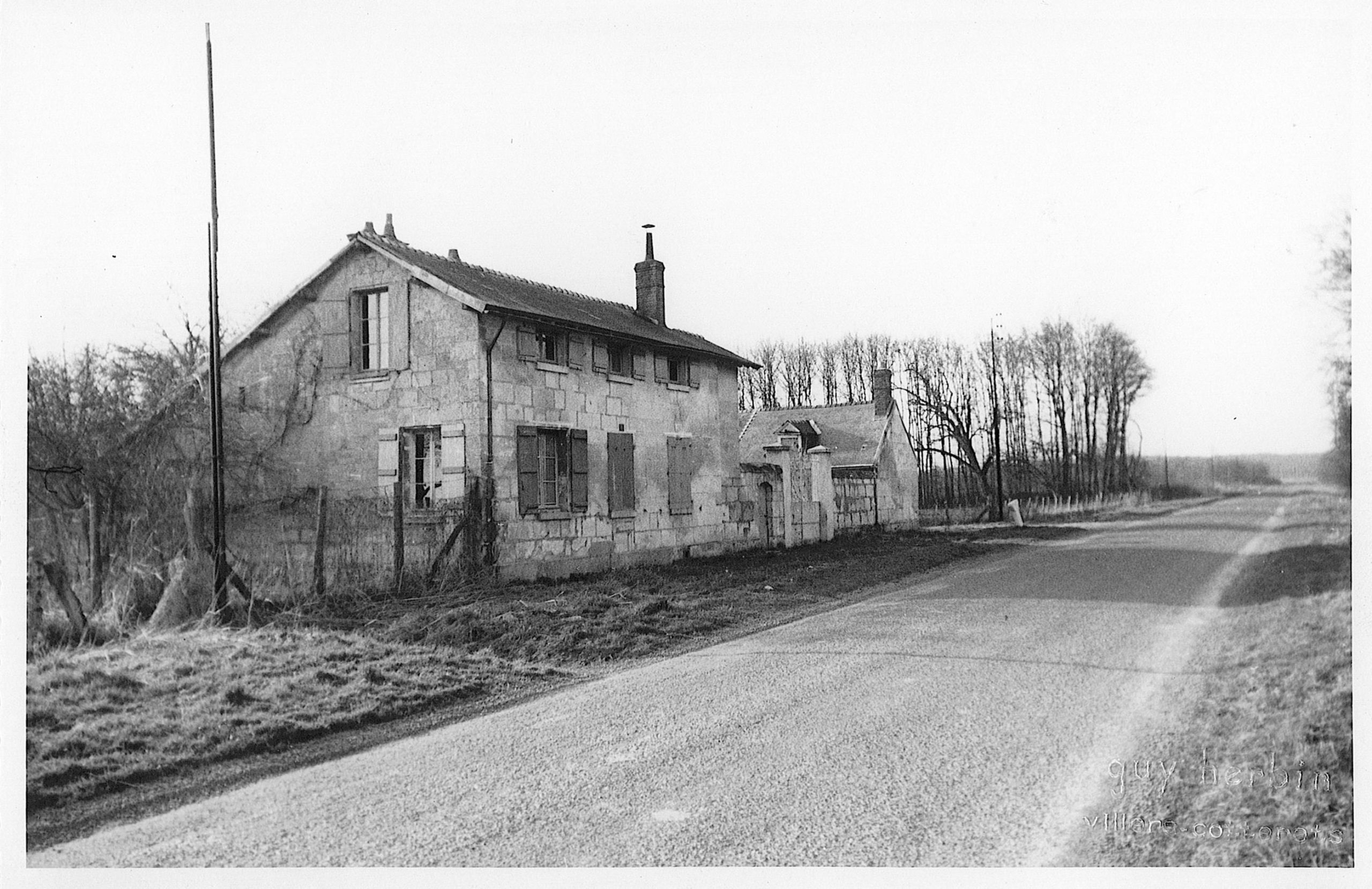 Main Image
