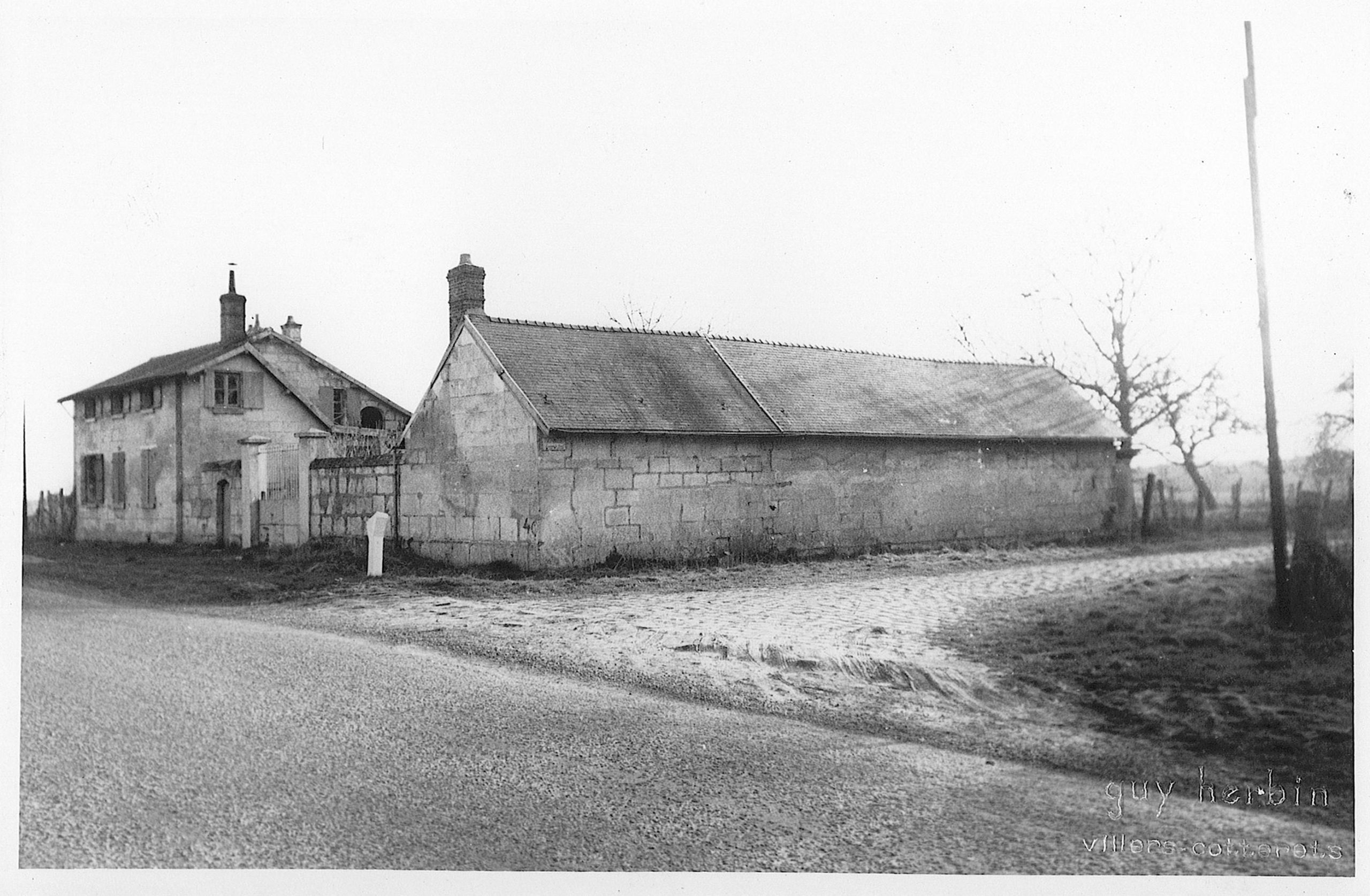 Main Image