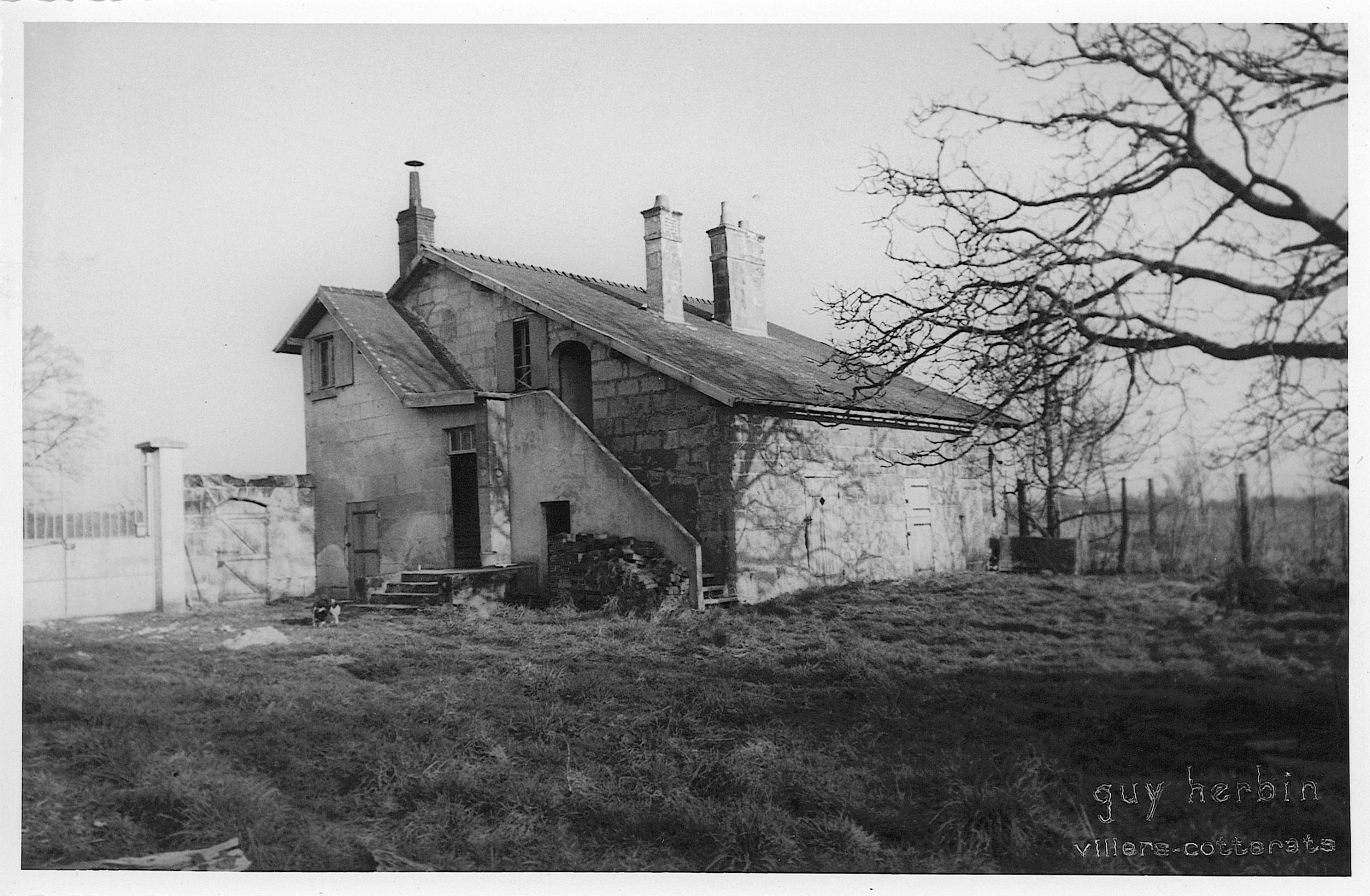 Main Image