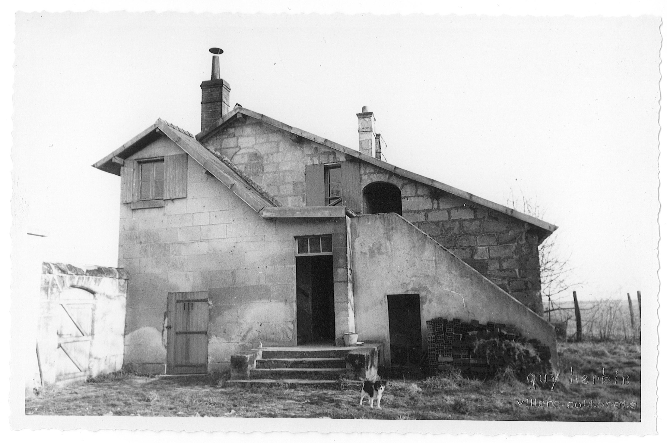 Main Image