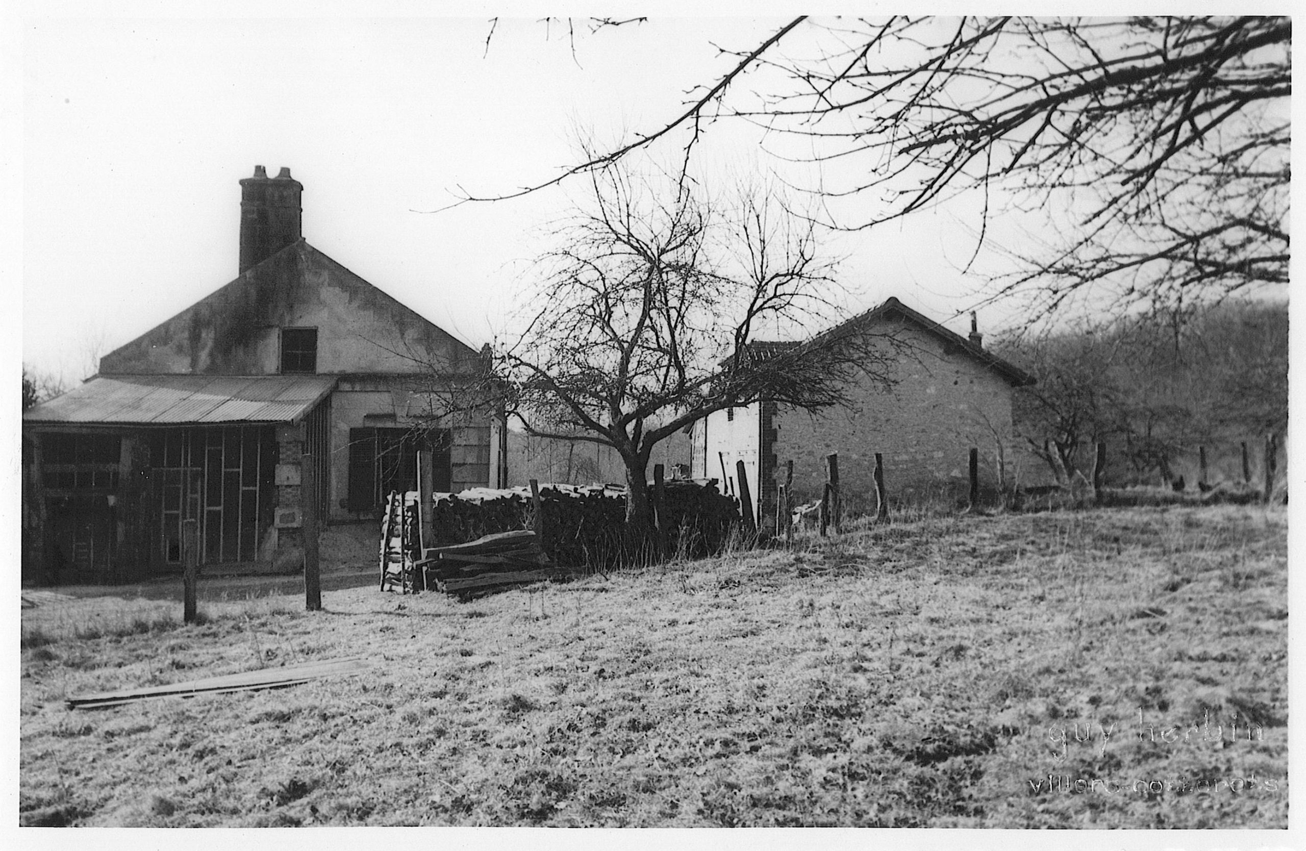 Main Image