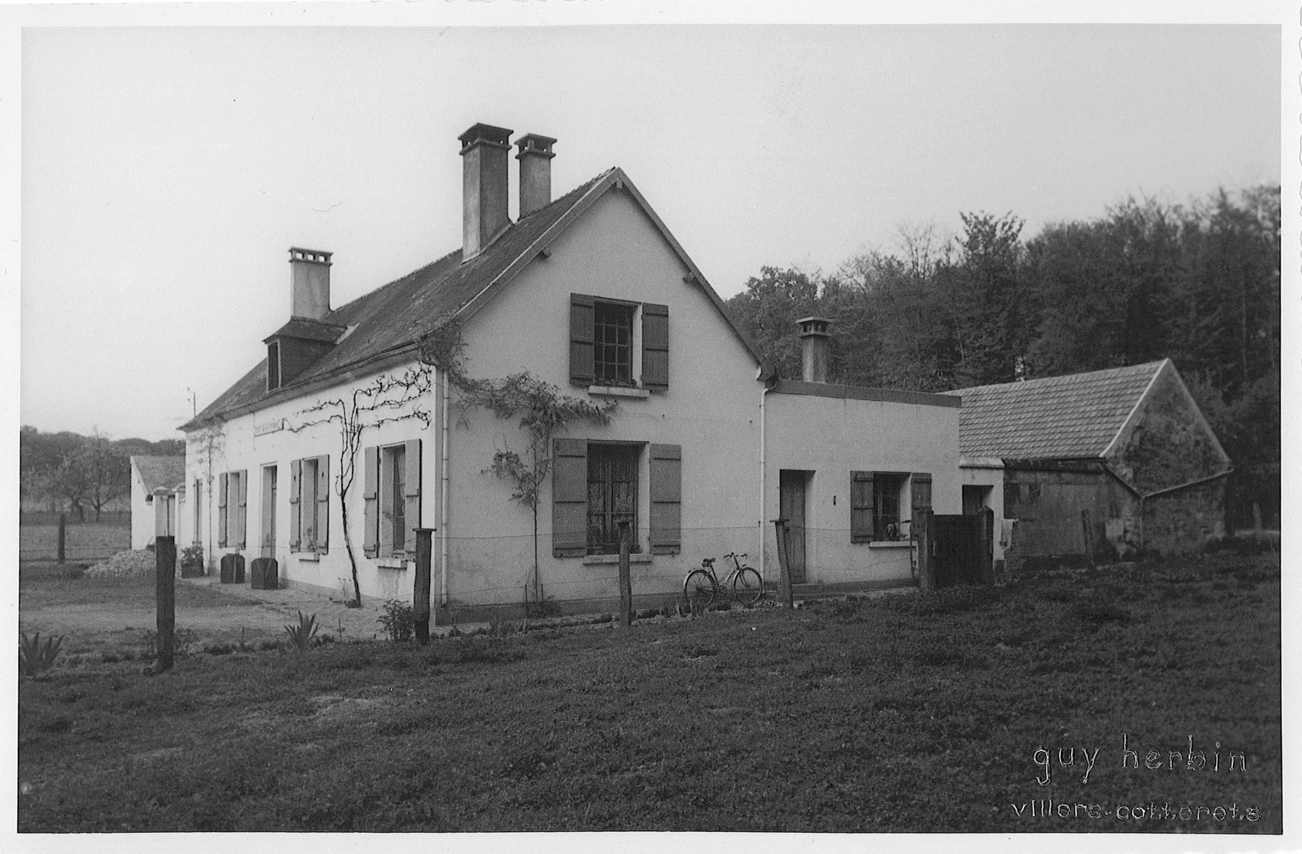 Main Image
