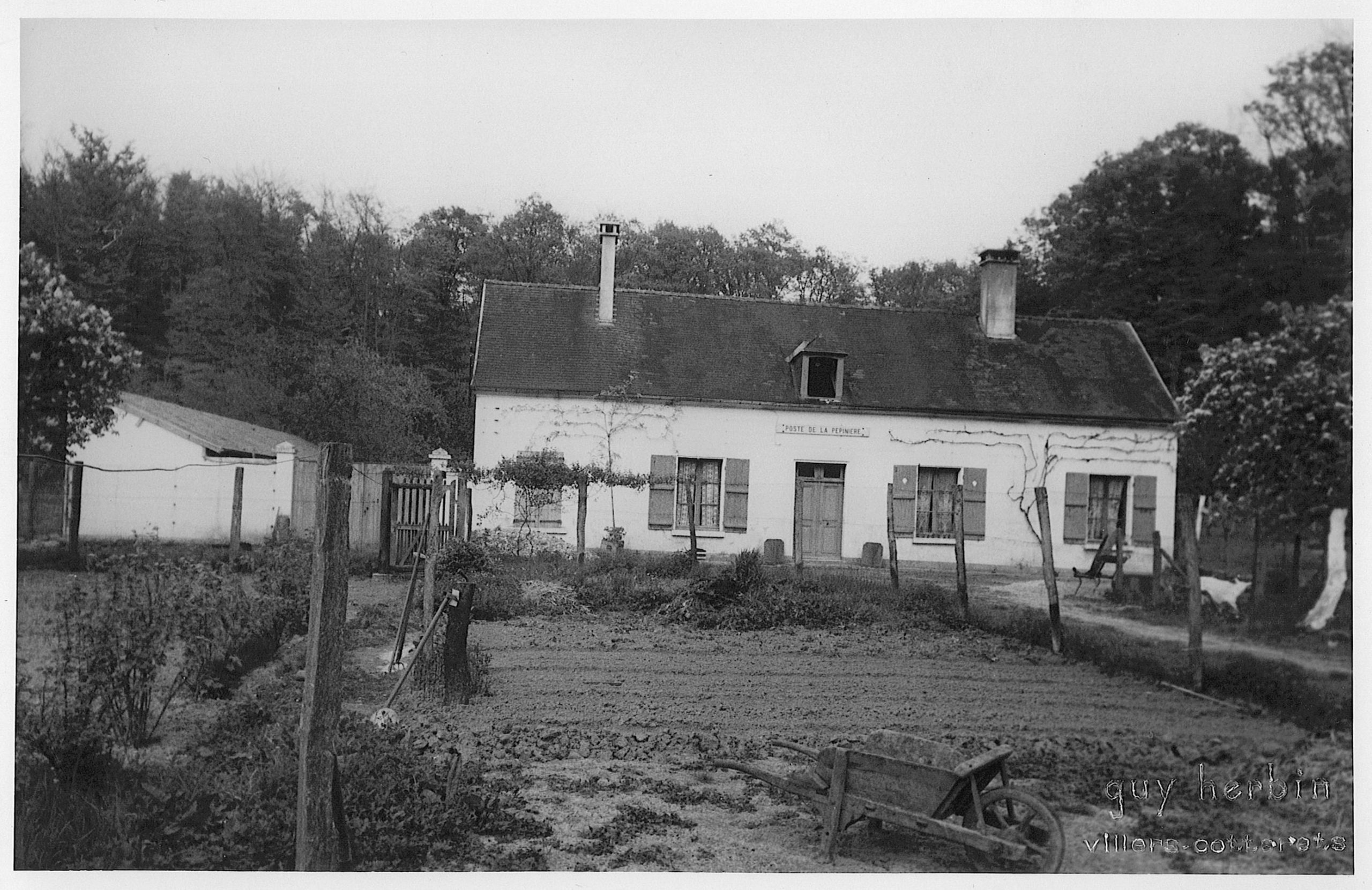 Main Image