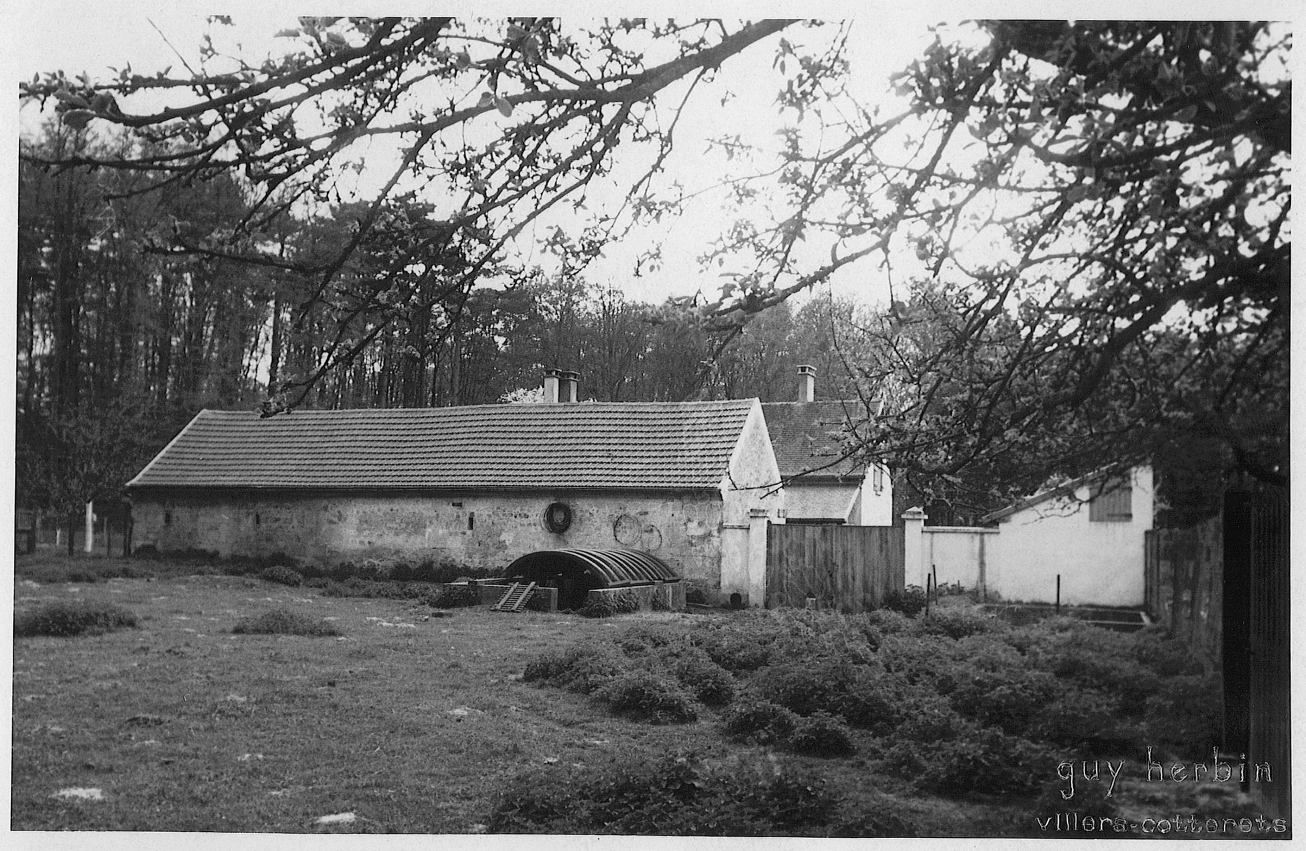 Main Image