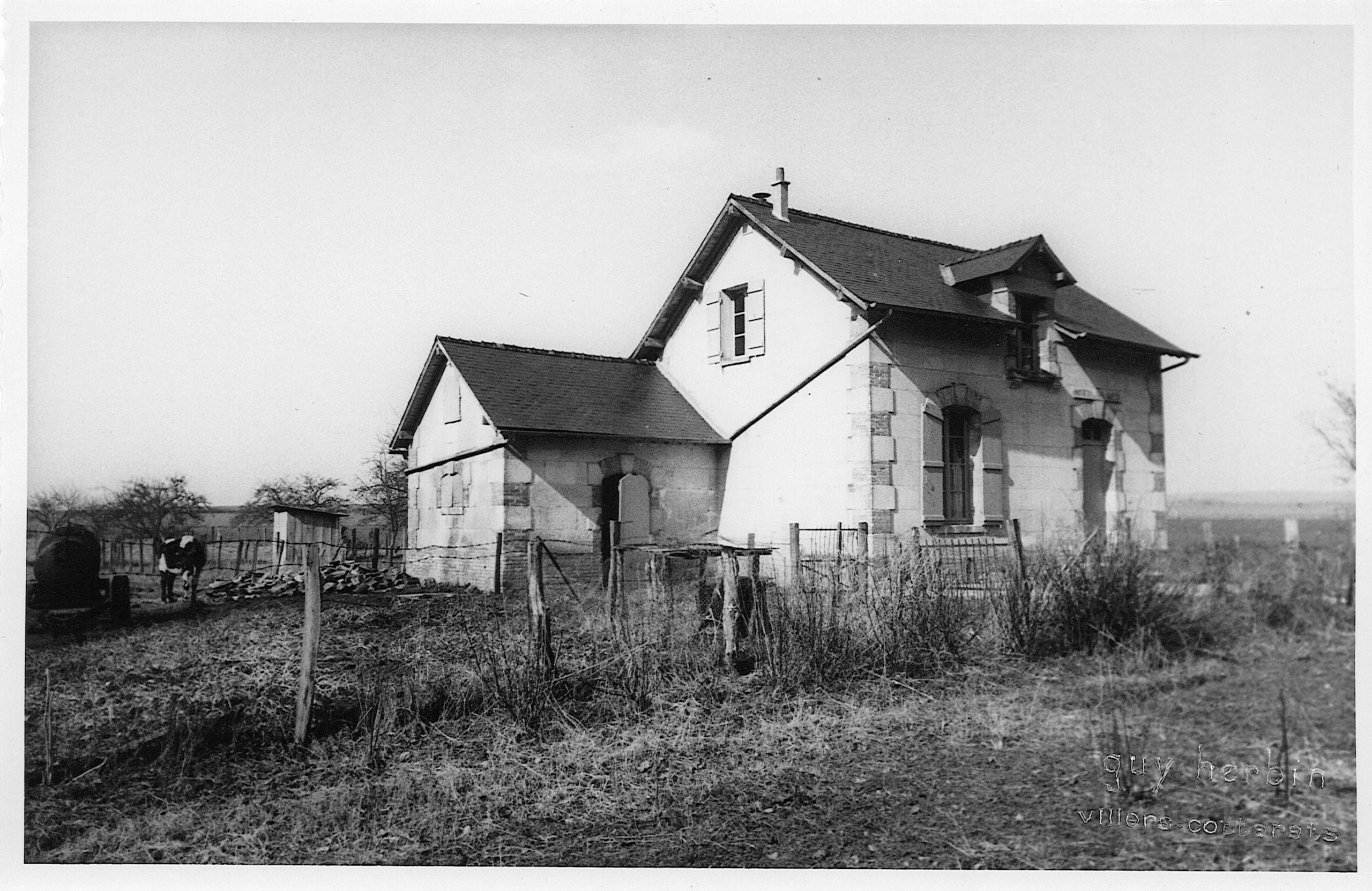 Main Image