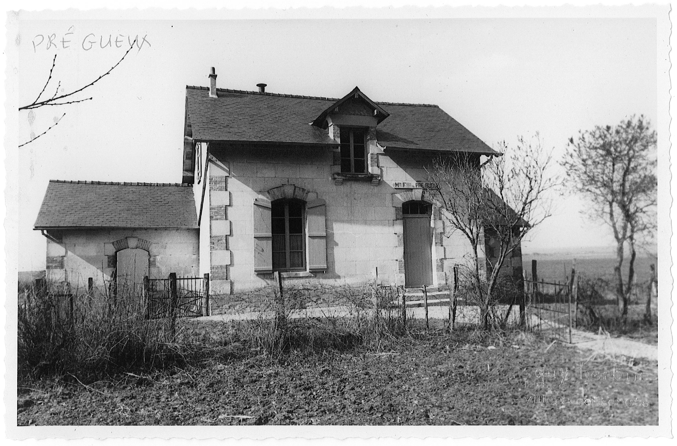 Main Image