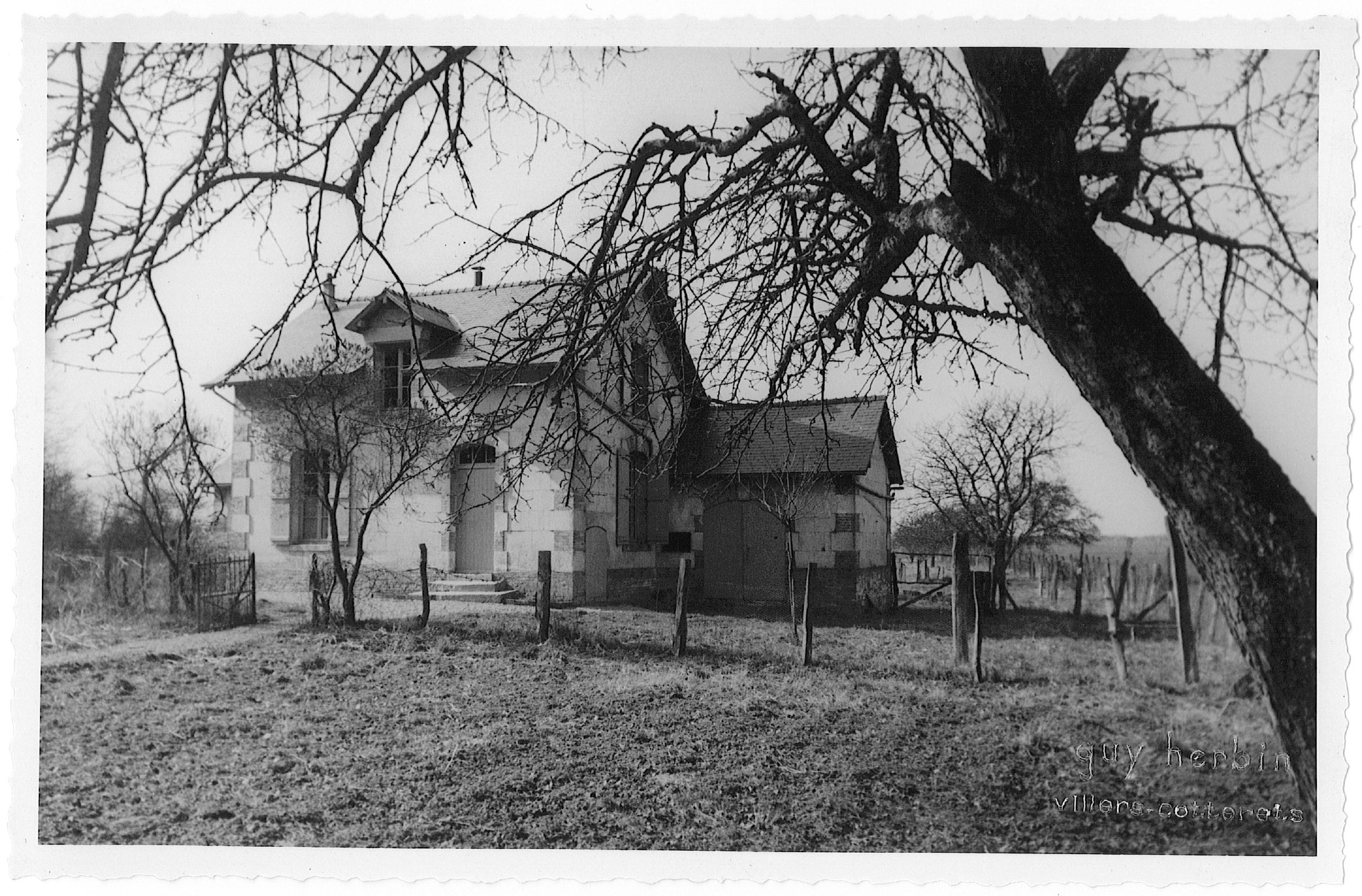 Main Image